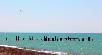 Прикрепленное изображение: IMG_3308.JPG